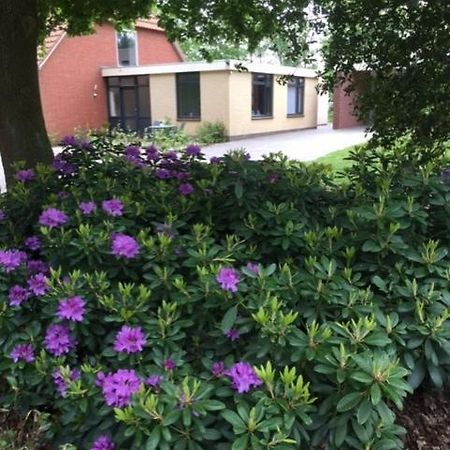 Speldehof Bed & Breakfast Kraggenburg Bagian luar foto